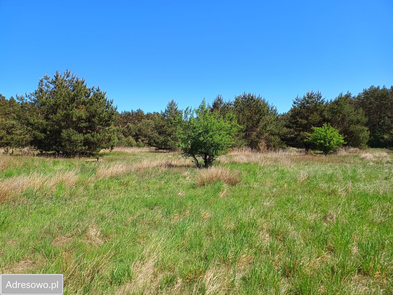 Działka budowlana Smołdzino