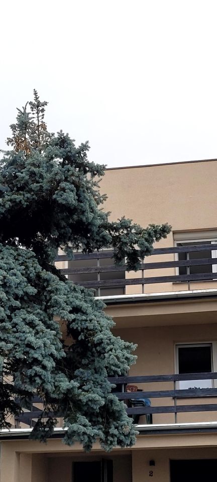 dom szeregowy, 6 pokoi Gorzów Wielkopolski Śródmieście, ul. Ikara