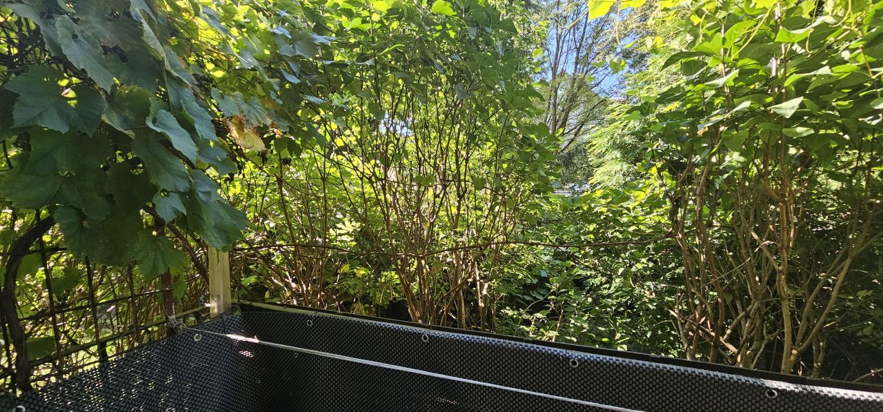 Mieszkanie 3-pokojowe Kielce KSM, ul. Pomorska. Zdjęcie 8