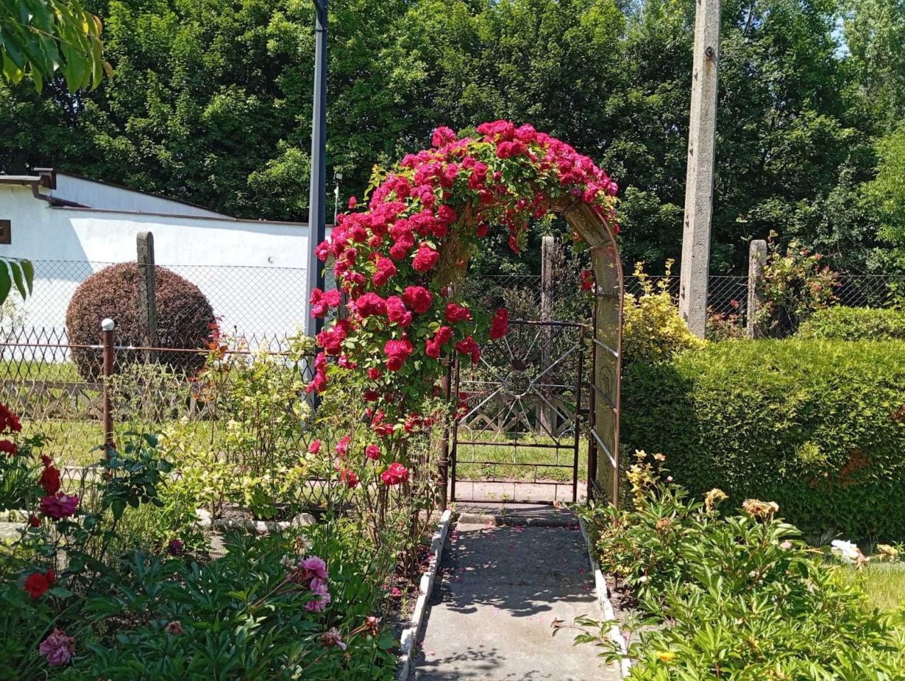 Działka rod Zabrze. Zdjęcie 3