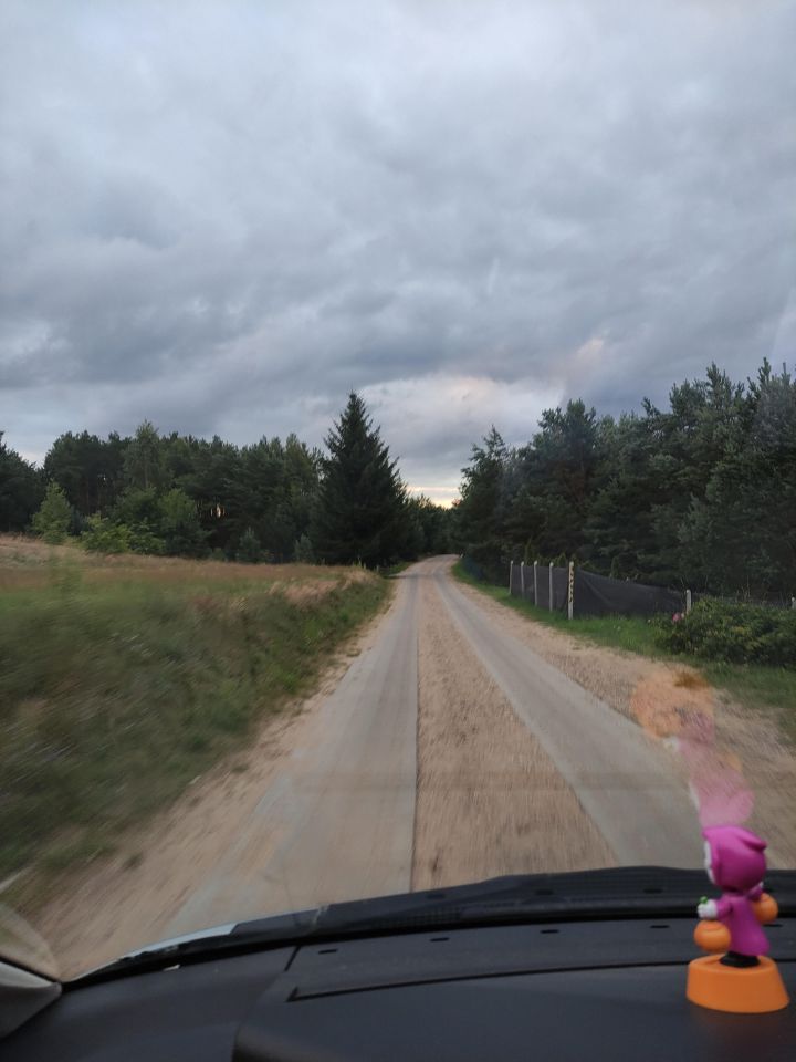 Działka rekreacyjna Skoszewo, ul. Jeziorna. Zdjęcie 5
