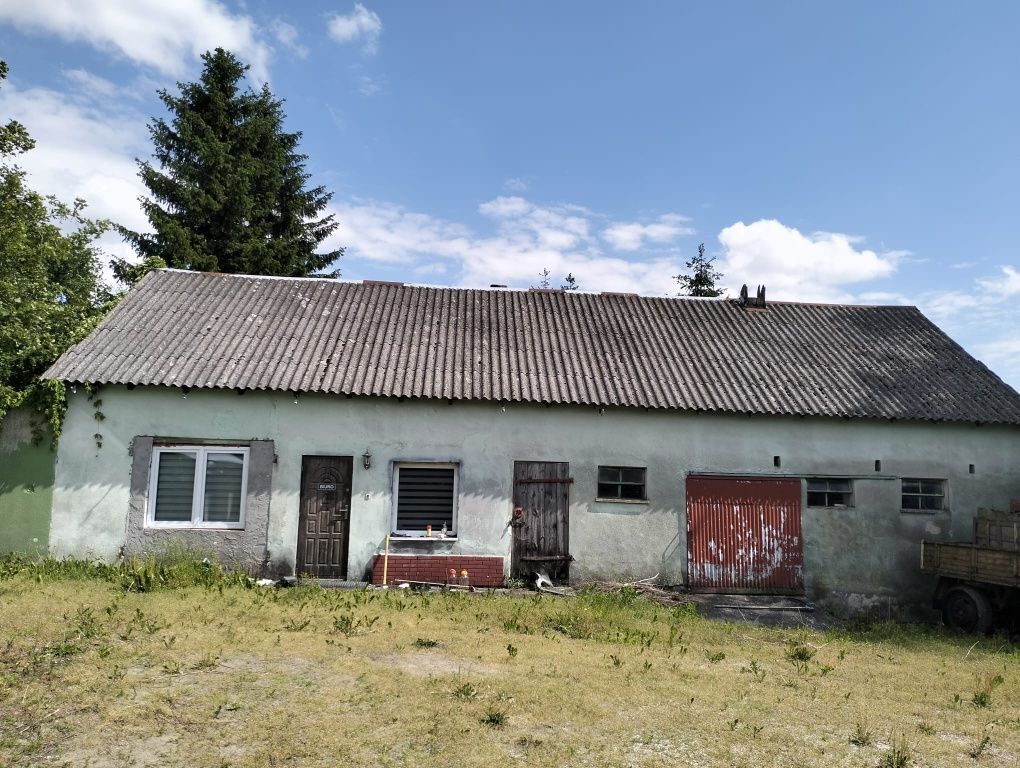 gospodarstwo Kijewo. Zdjęcie 1