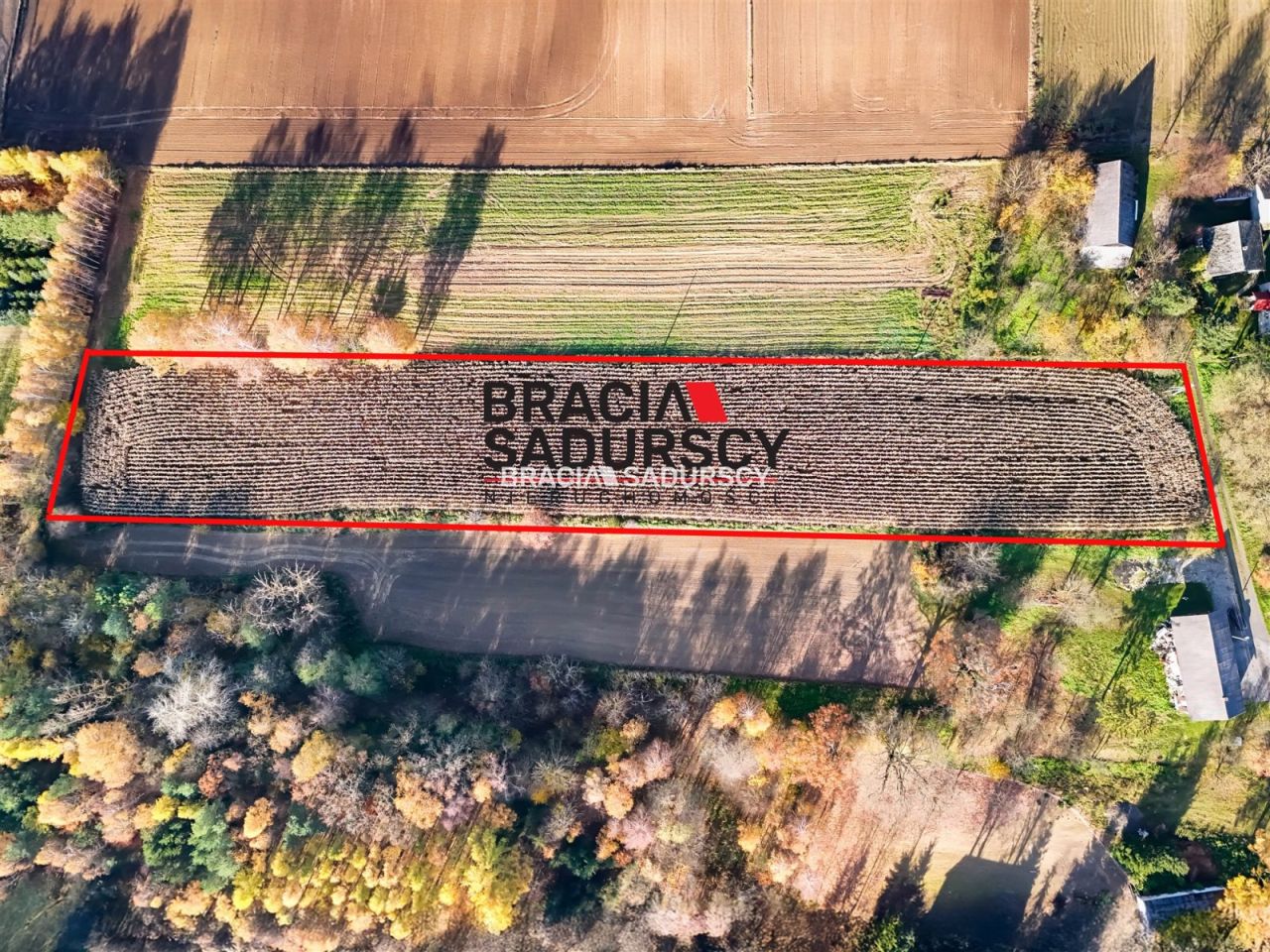 Działka budowlana Przesławice. Zdjęcie 4