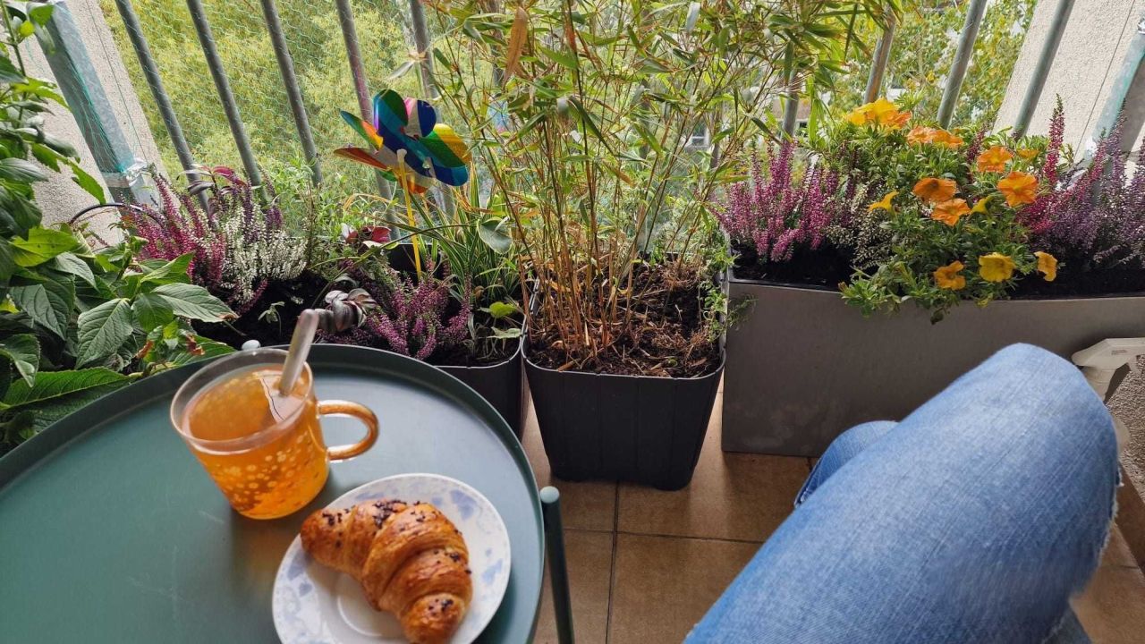 Mieszkanie 3-pokojowe Zielona Góra. Zdjęcie 8