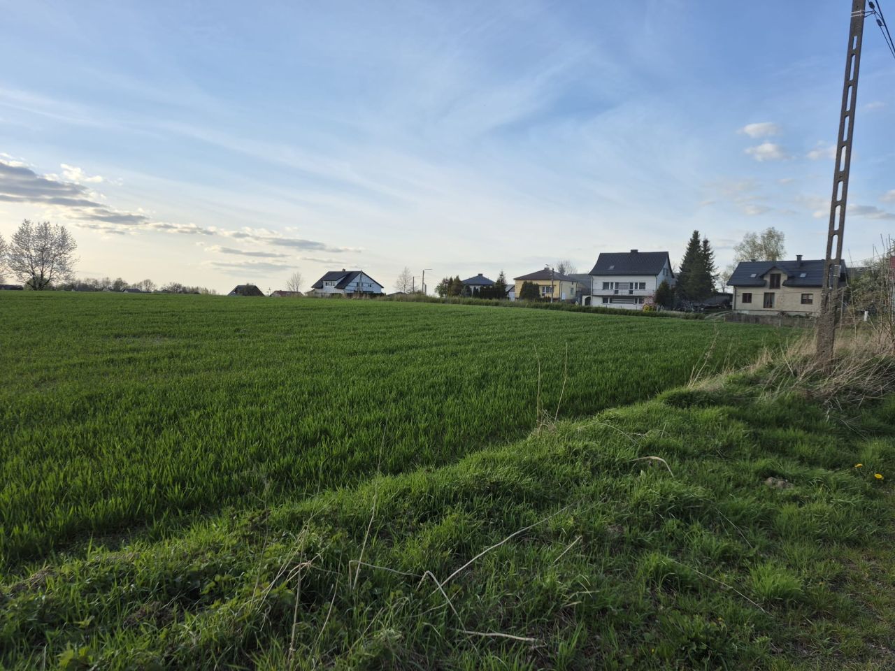 Działka rolna Baszowice, Nie okreslina. Zdjęcie 1