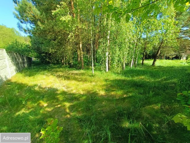 Działka Stara Wieś. Zdjęcie 1