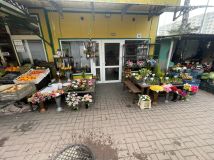 Lokal Toruń. Zdjęcie 3