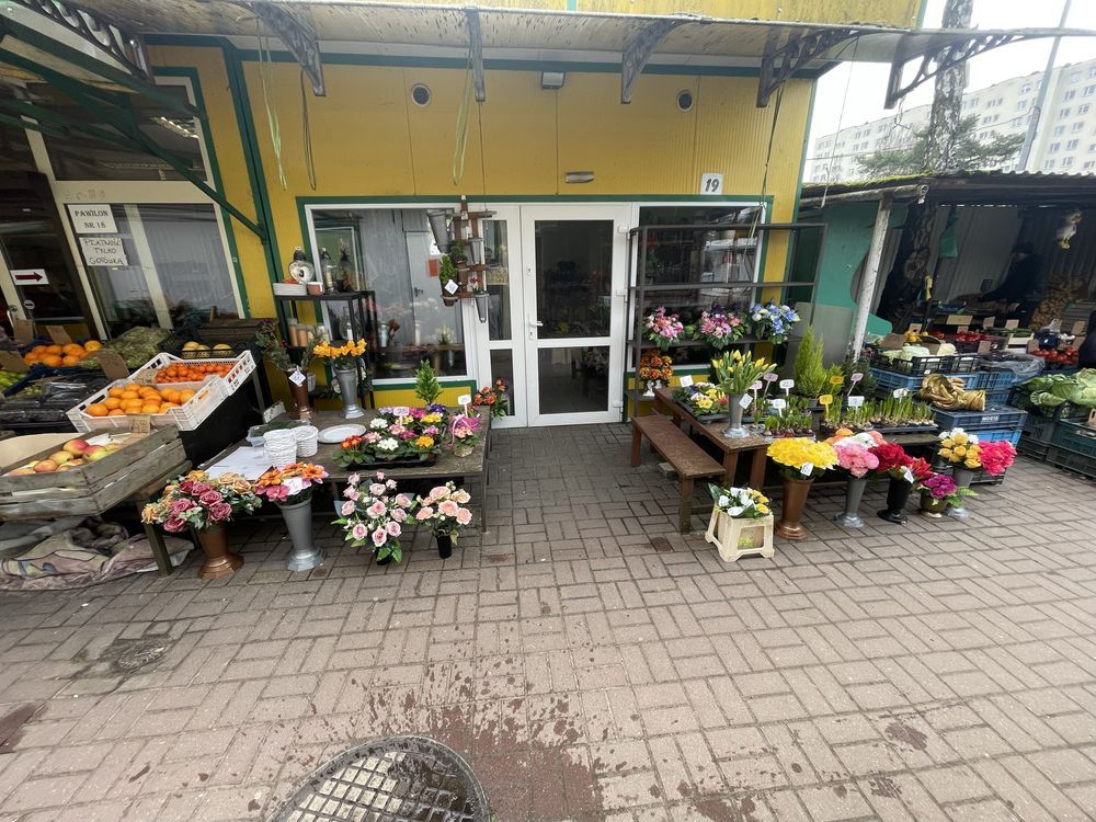 Lokal Toruń. Zdjęcie 4