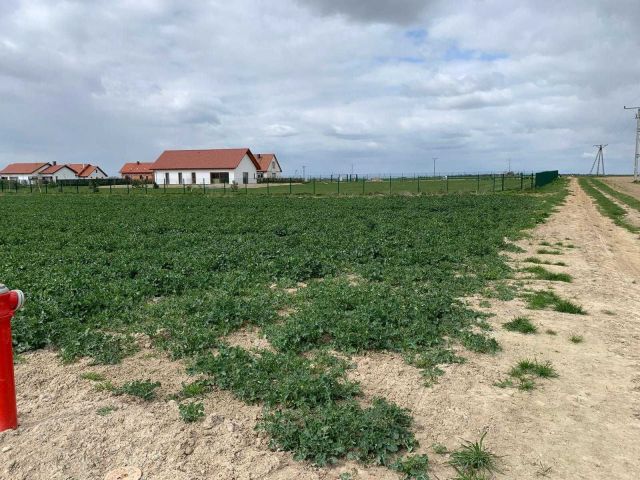 Działka budowlana Gościsław. Zdjęcie 1