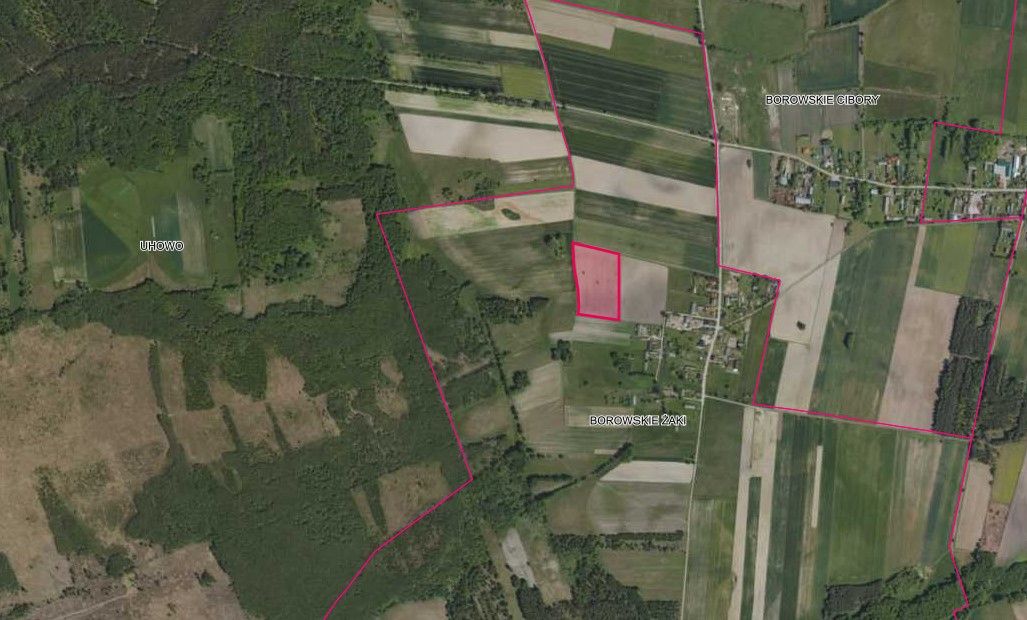 Działka rolna Borowskie Żaki. Zdjęcie 2