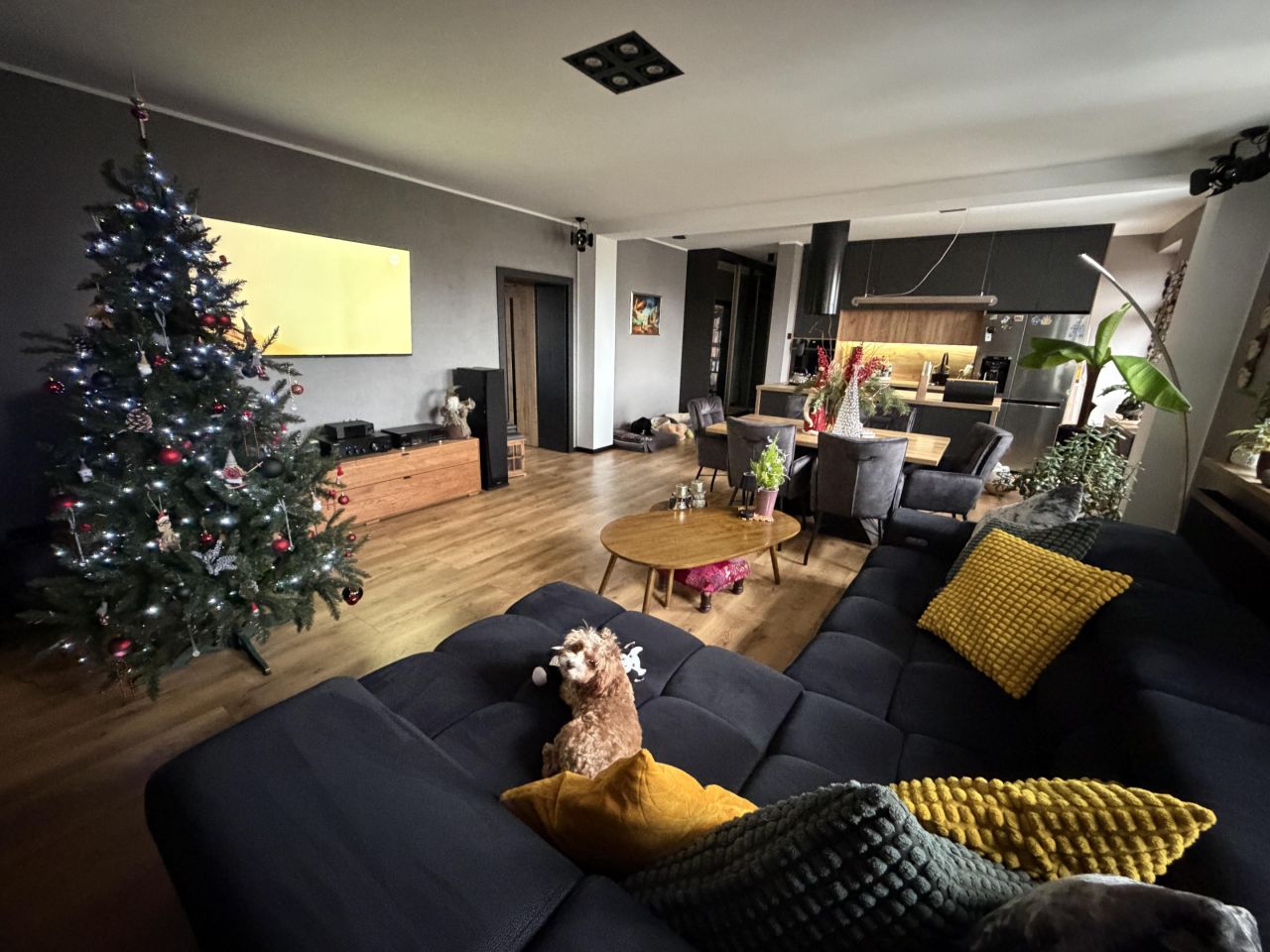 Mieszkanie 2-pokojowe Gliwice Stare Gliwice, ul. Ignacego Daszyńskiego. Zdjęcie 17