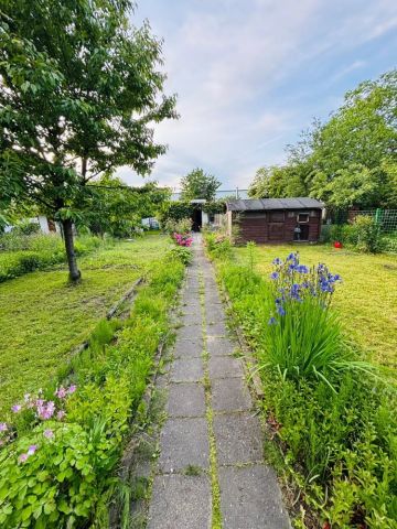 Działka rod Ruda Śląska, ul. Kalinowa. Zdjęcie 1