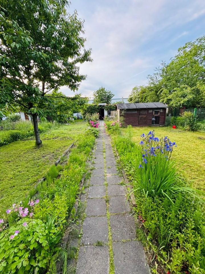 Działka rod Ruda Śląska, ul. Kalinowa