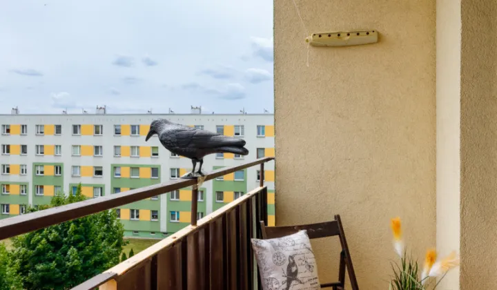 Mieszkanie 3-pokojowe Sieradz, ul. Ignacego Paderewskiego