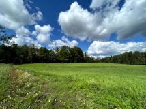 Działka rolna Żardeniki