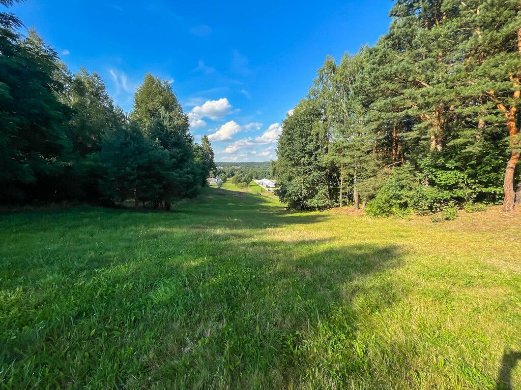 Działka budowlana Kuczów. Zdjęcie 6