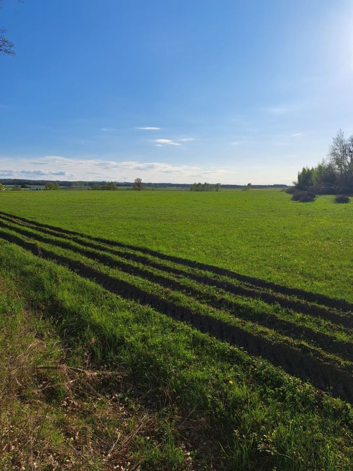 Działka rolno-budowlana Dobry. Zdjęcie 5