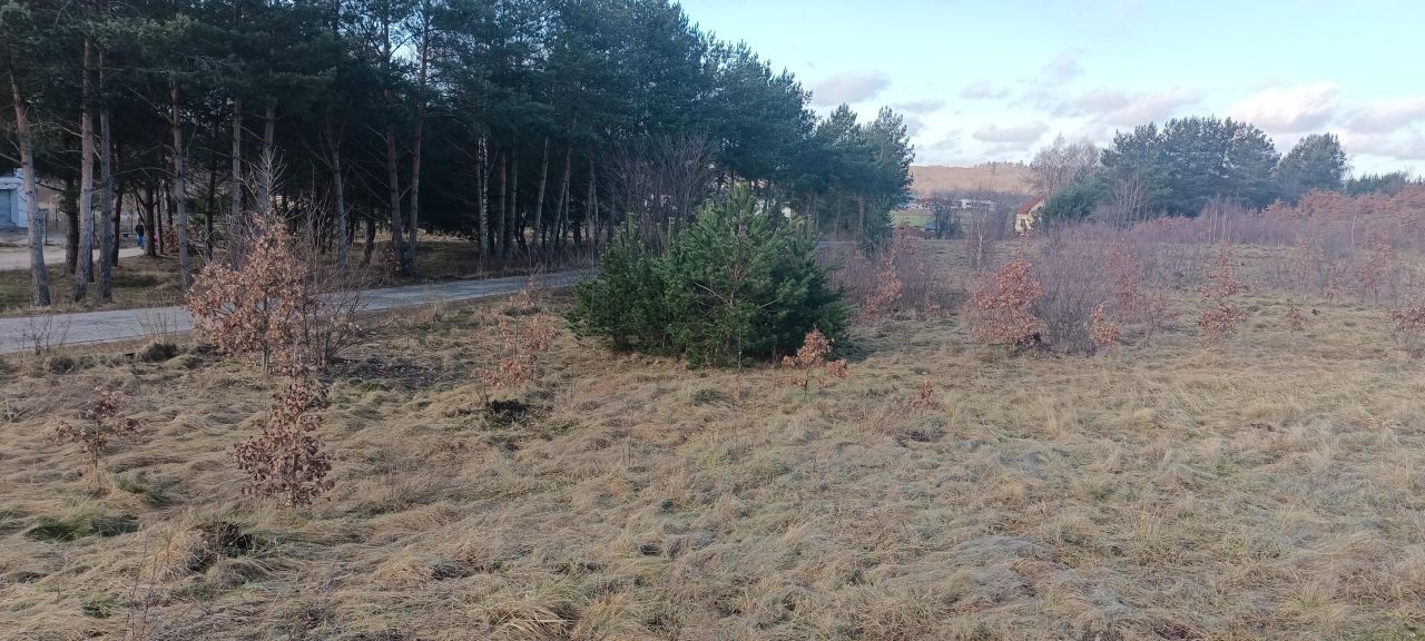 Działka budowlana Lubowidz, ul. Jeziorna. Zdjęcie 5