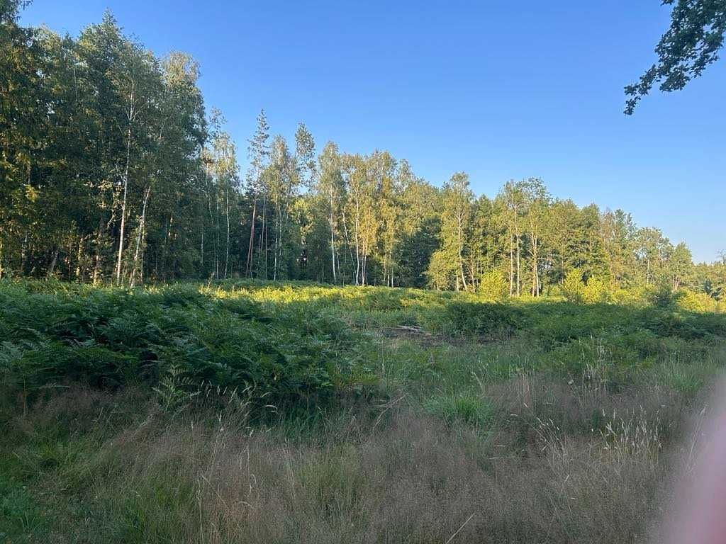 Działka siedliskowa Świątki. Zdjęcie 8