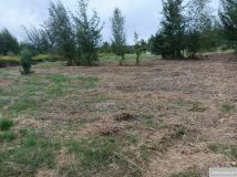 Działka budowlana Osolin, ul. Zielona. Zdjęcie 3