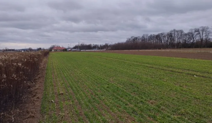 Działka budowlana Wiązownica