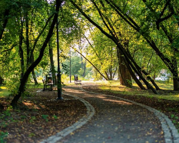 Mieszkanie 3-pokojowe Kraków Swoszowice, ul. Mieczykowa. Zdjęcie 2