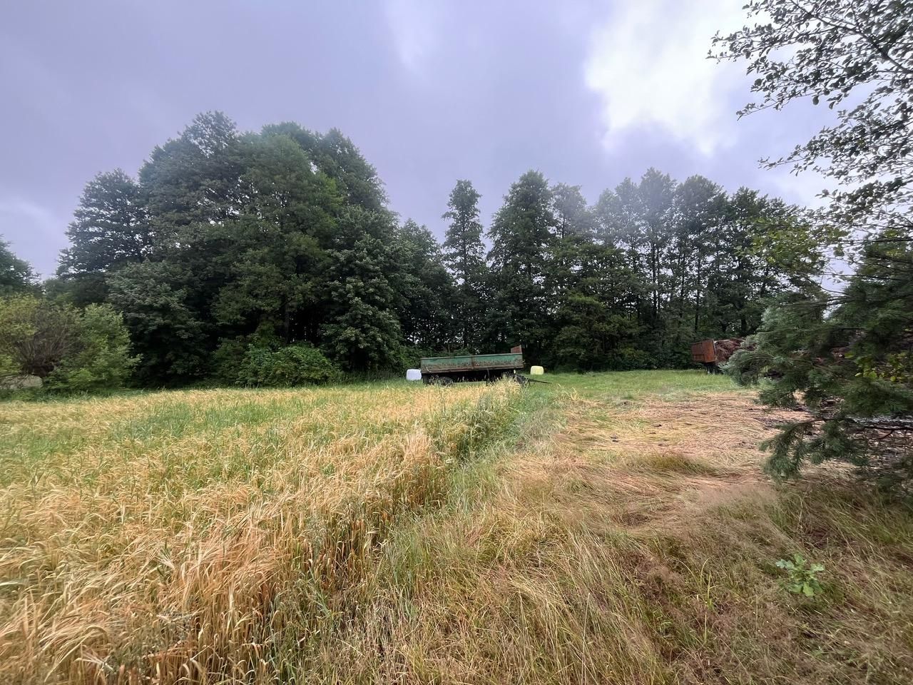 Działka rolno-budowlana Surmacze. Zdjęcie 4