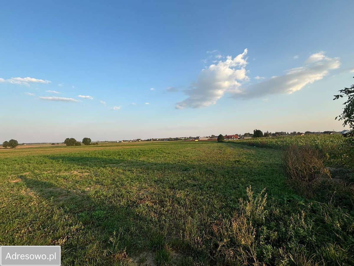 Działka budowlana Nowa Wieś Wschodnia. Zdjęcie 11