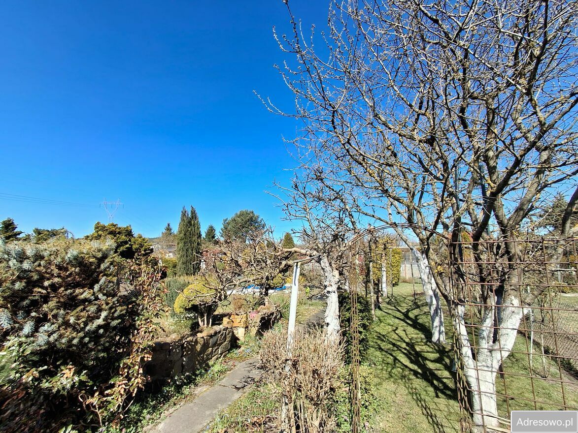 Działka rod Szczecin. Zdjęcie 6