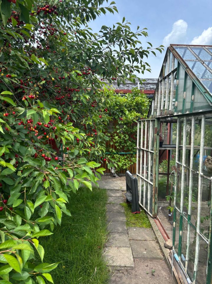 Działka rod Wrocław Brochów. Zdjęcie 5