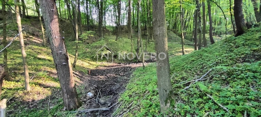 Działka budowlana Chmielnik. Zdjęcie 5