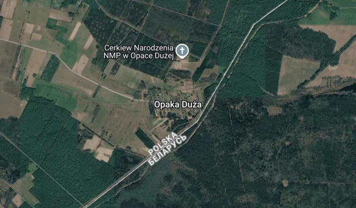 Działka leśna Opaka Duża