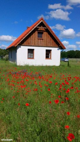 siedlisko, 3 pokoje Kornelin. Zdjęcie 1