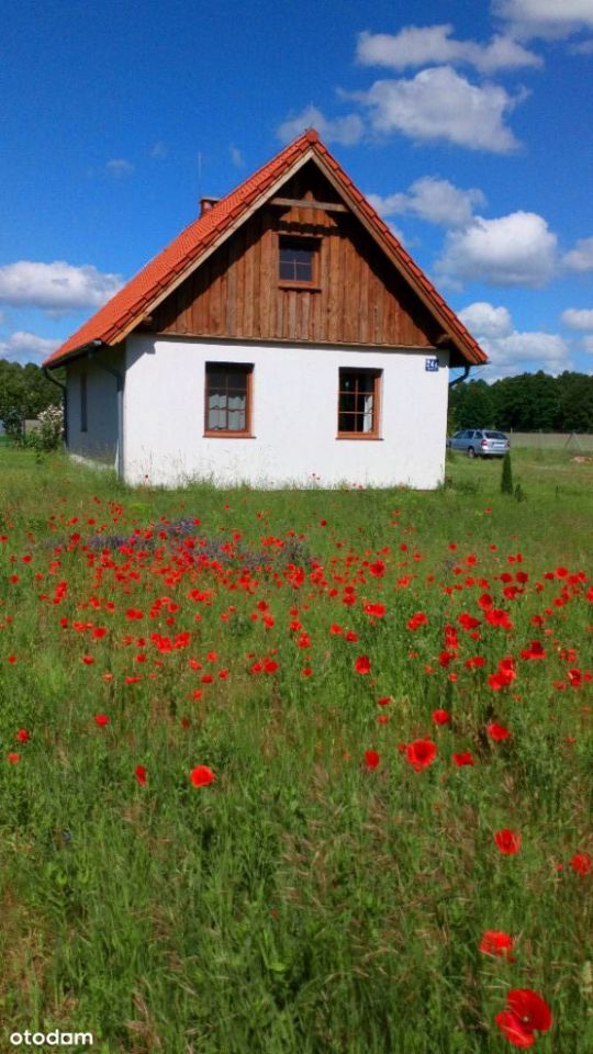 siedlisko, 3 pokoje Kornelin. Zdjęcie 1