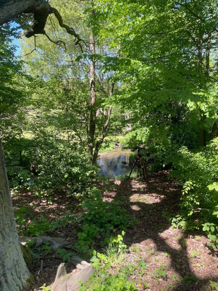 Działka budowlana Nowa Kuźnica, ul. 14-Lutego. Zdjęcie 4