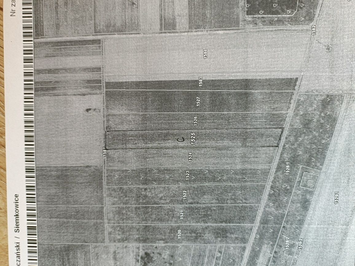 Działka rolna Siemkowice. Zdjęcie 4