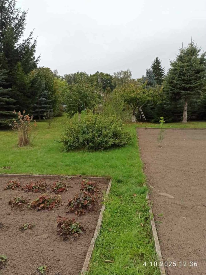 Działka Bierzwnik. Zdjęcie 8