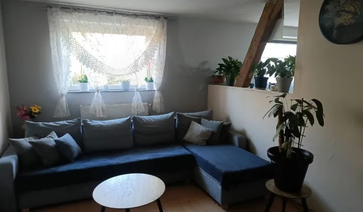 Mieszkanie 2-pokojowe Studzieniec