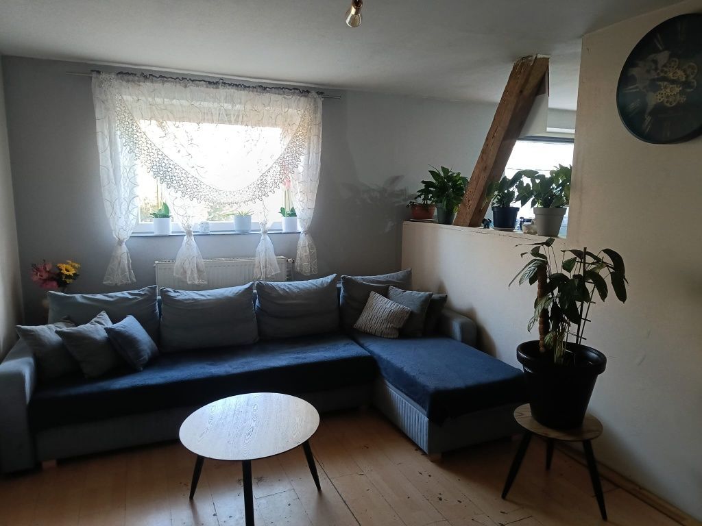 Mieszkanie 2-pokojowe Studzieniec