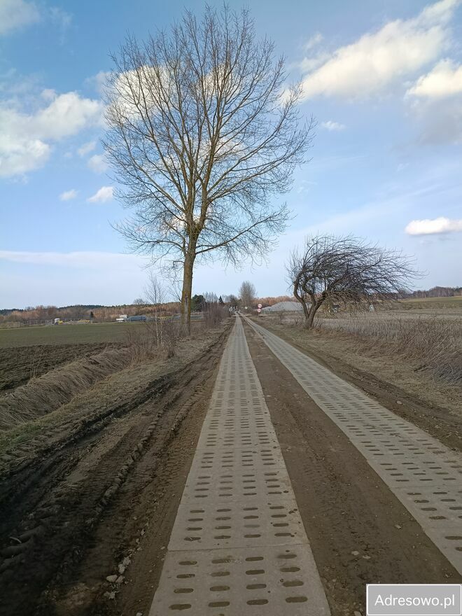 Działka rolna Modlinek. Zdjęcie 3