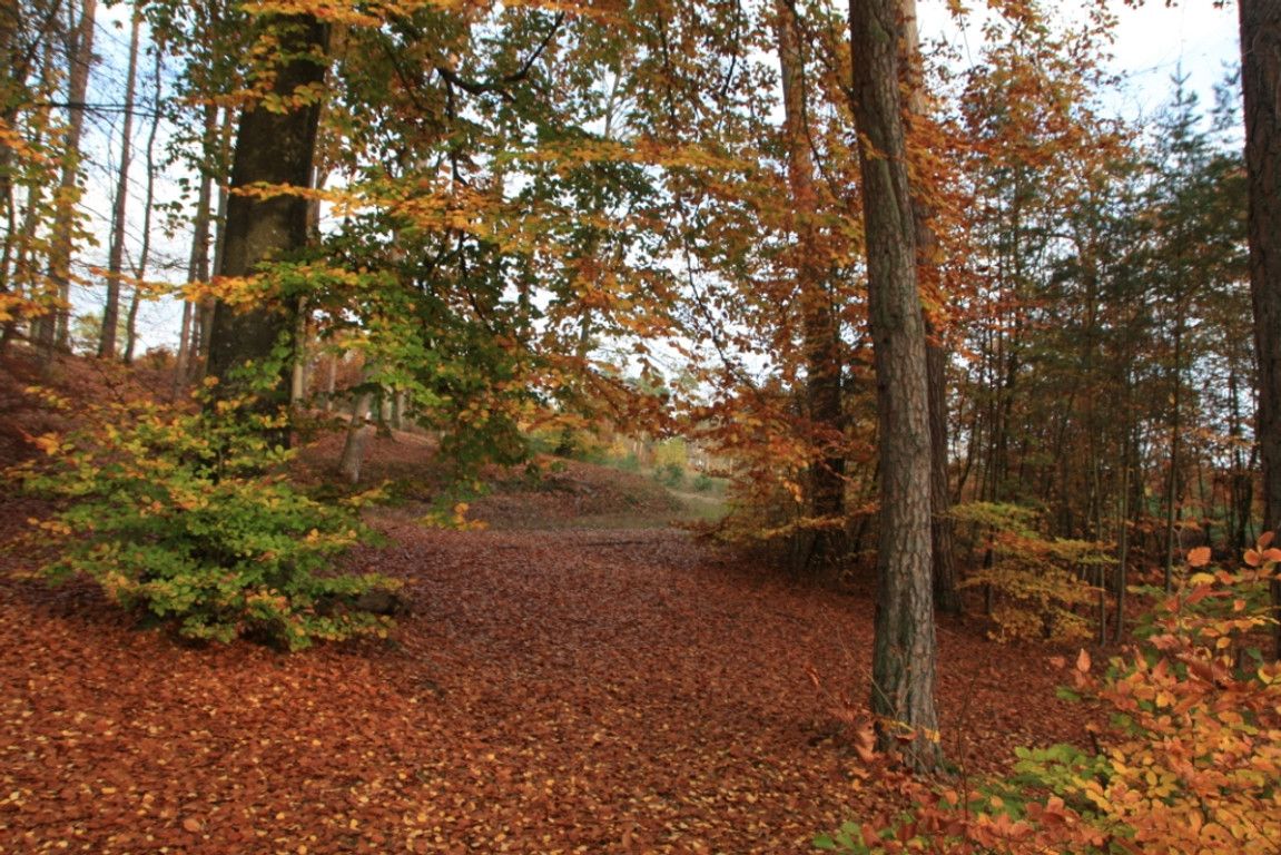 Działka rolna Sarnikierz. Zdjęcie 4