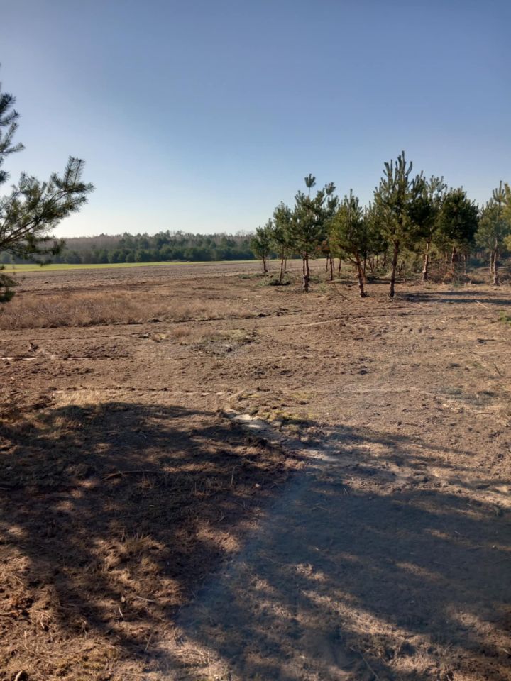 Działka rolno-budowlana Gucin. Zdjęcie 17