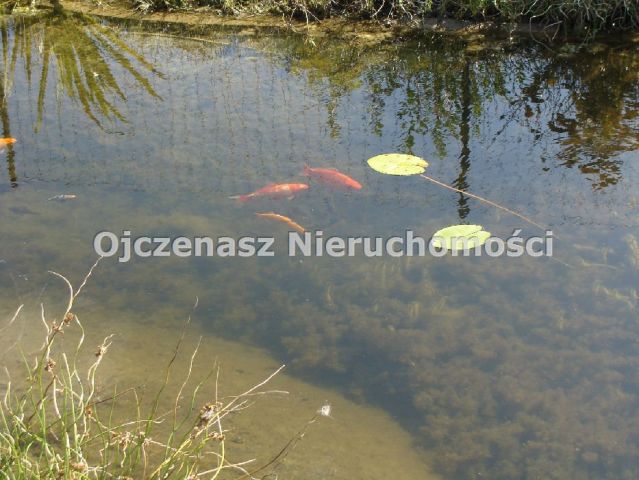 Hotel/pensjonat Władysławowo. Zdjęcie 7