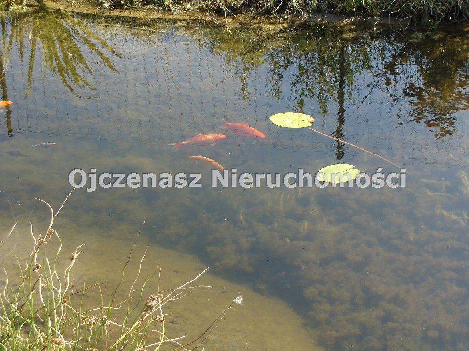 Hotel/pensjonat Władysławowo. Zdjęcie 7