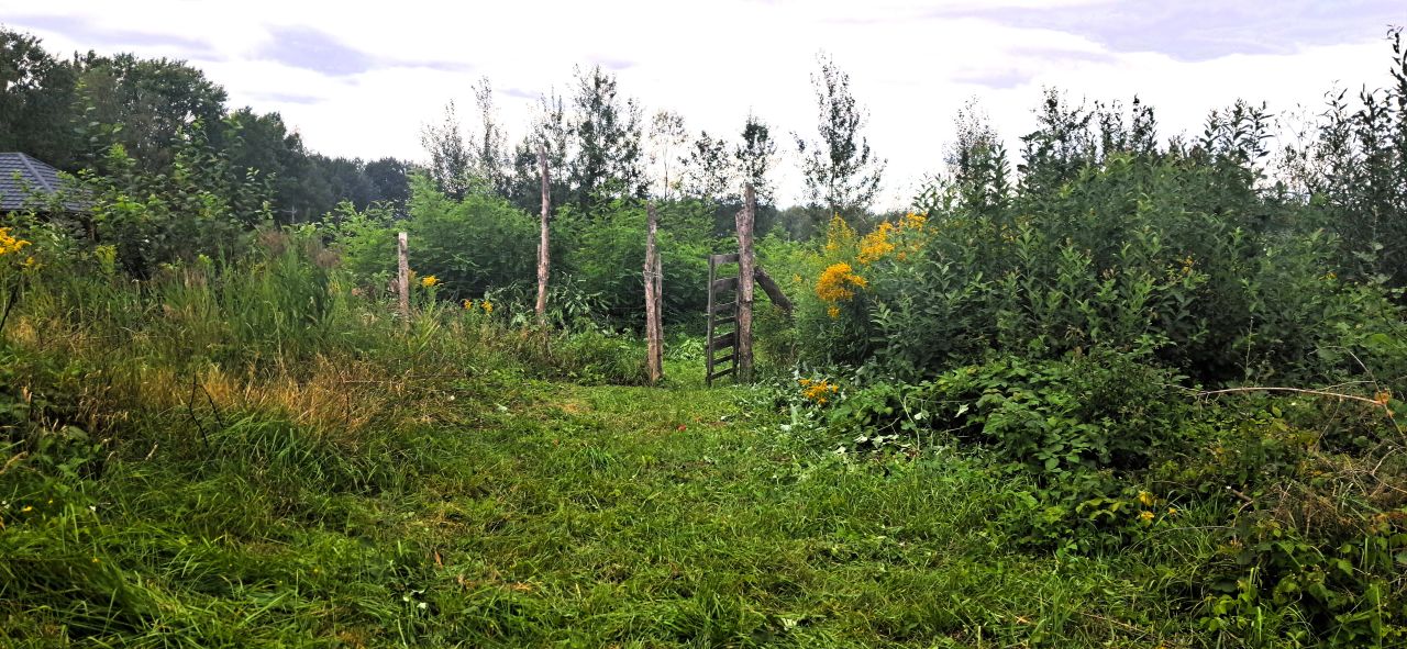Działka budowlana Budy-Grzybek, ul. Alpejska. Zdjęcie 14