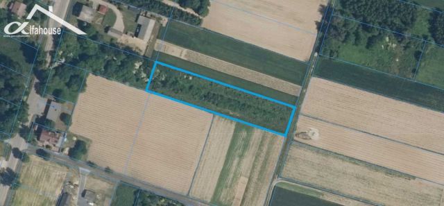 Działka budowlana Charlęż. Zdjęcie 1