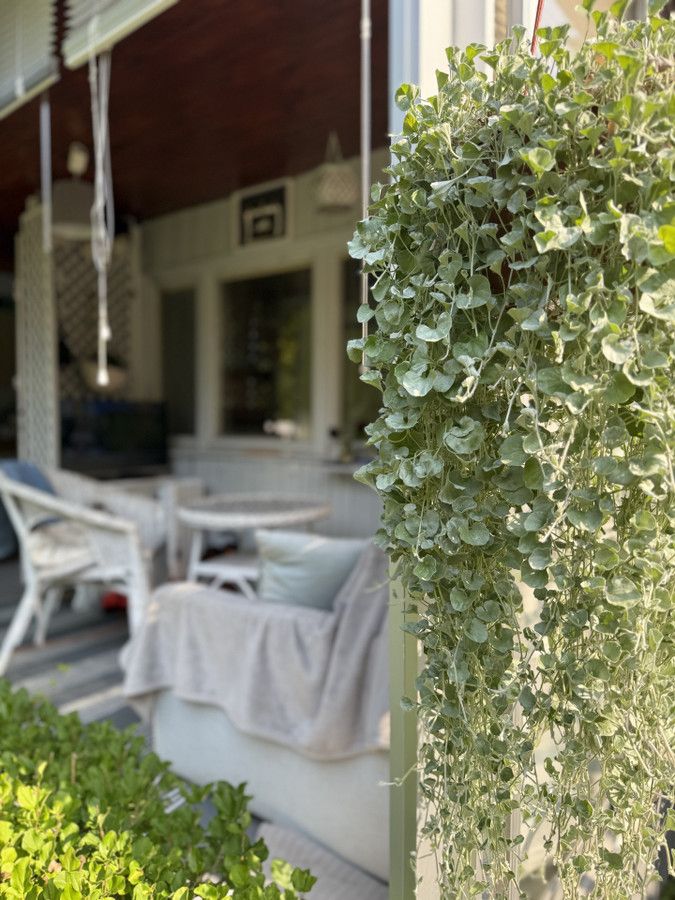 Działka rod Prawda. Zdjęcie 18