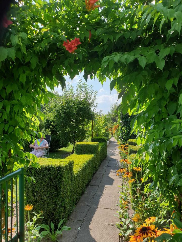 Działka rod Komadzyn. Zdjęcie 6