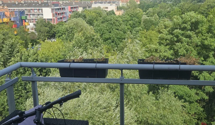 Mieszkanie 3-pokojowe Wrocław Gaj, ul. Jerzego Kukuczki