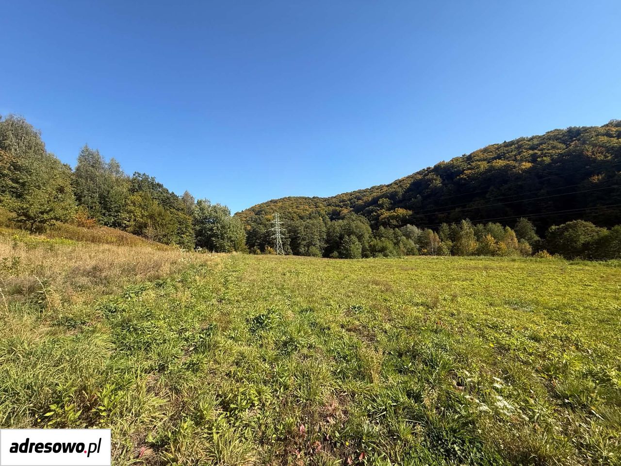 Działka rolna Janowice. Zdjęcie 2